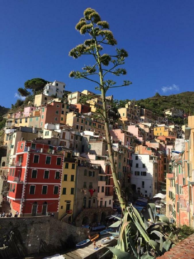 Sergeant First Class Apartment Riomaggiore